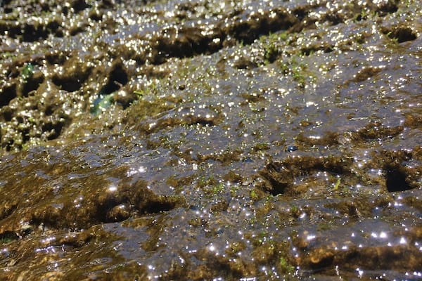 beautiful spot in the heart of Naples. breathtaking waterfalls and plenty to explore.