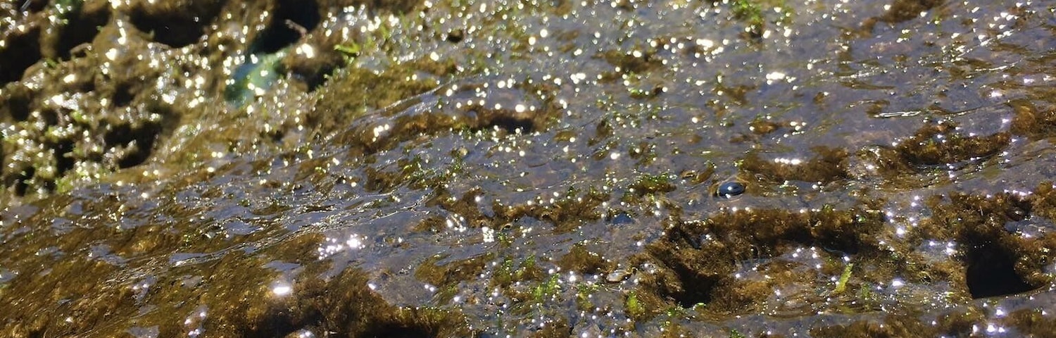 beautiful spot in the heart of Naples. breathtaking waterfalls and plenty to explore.