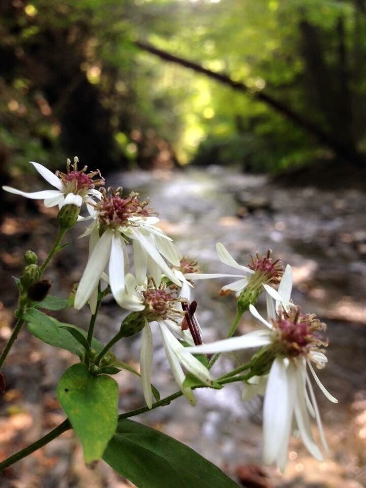 great place to hike and climb some waterfalls, get ready to get wet!