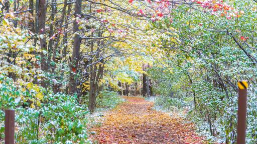Autumn in Naples, NY