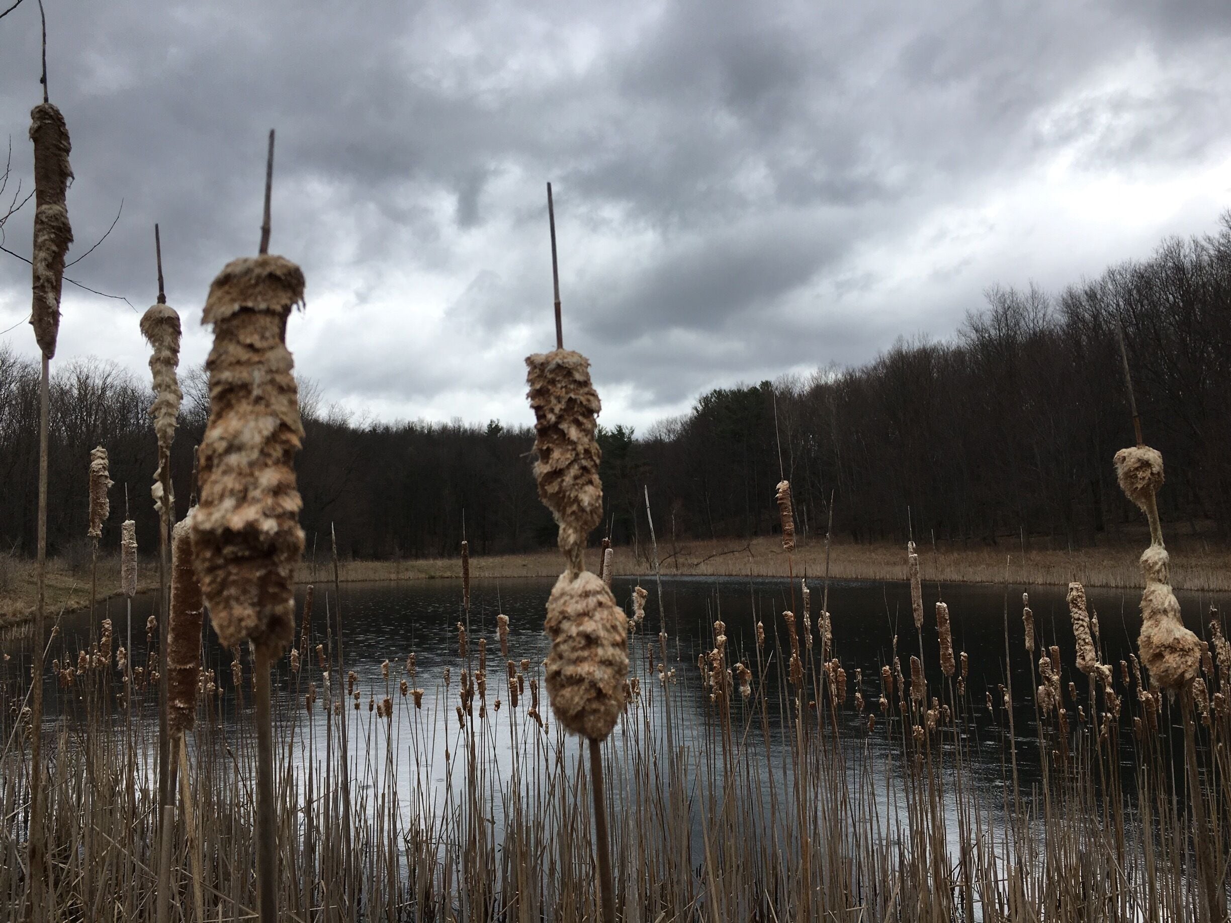 great place to take a hike! 