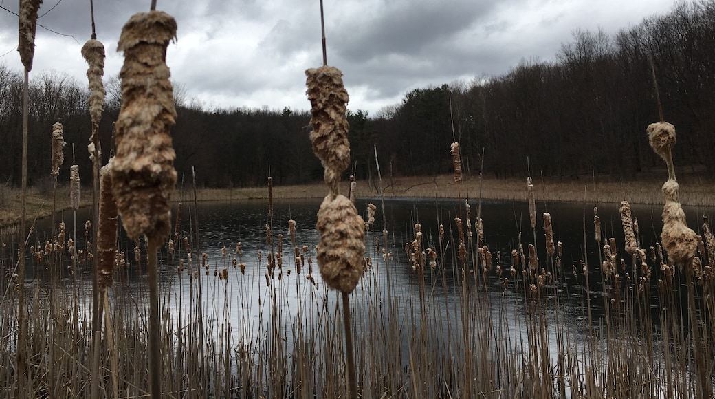 great place to take a hike!