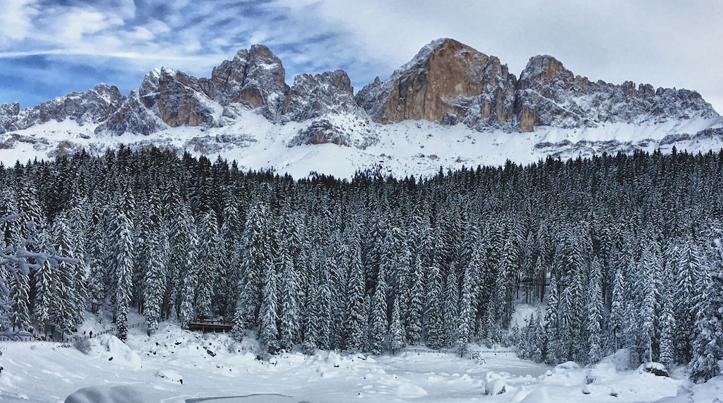 Parco naturale dello Sciliar-Catinaccio (Q520612)