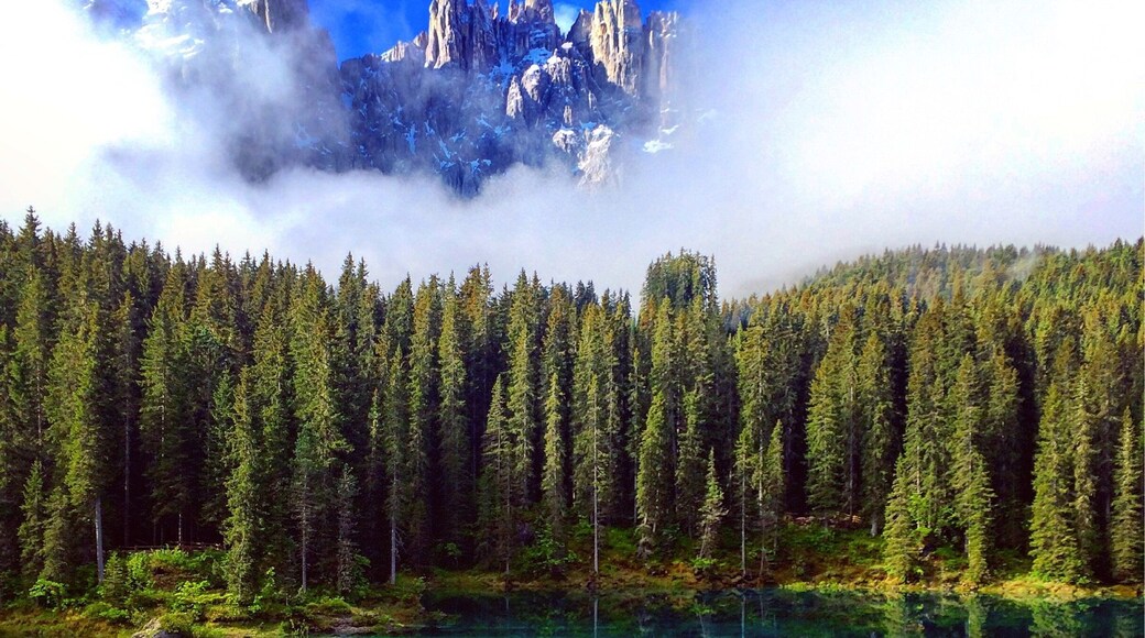 What a stunning morning☀️ traveling with a campervan to croatia and driving thru switzerland, italy and slovenia... On the way we had the chance to see this Unesco woldwonder in the italian alps (karersee) 🚌✌🏾️
I can only recommend to see the beauty of nature #colorful #italy #apls #karersee #vanlife #camping #europe