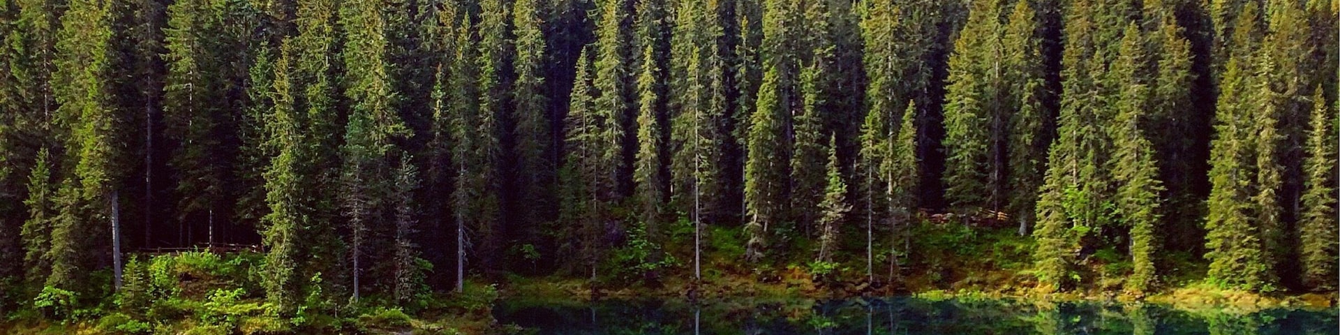 What a stunning morning☀️ traveling with a campervan to croatia and driving thru switzerland, italy and slovenia... On the way we had the chance to see this Unesco woldwonder in the italian alps (karersee) 🚌✌🏾️
I can only recommend to see the beauty of nature #colorful #italy #apls #karersee #vanlife #camping #europe