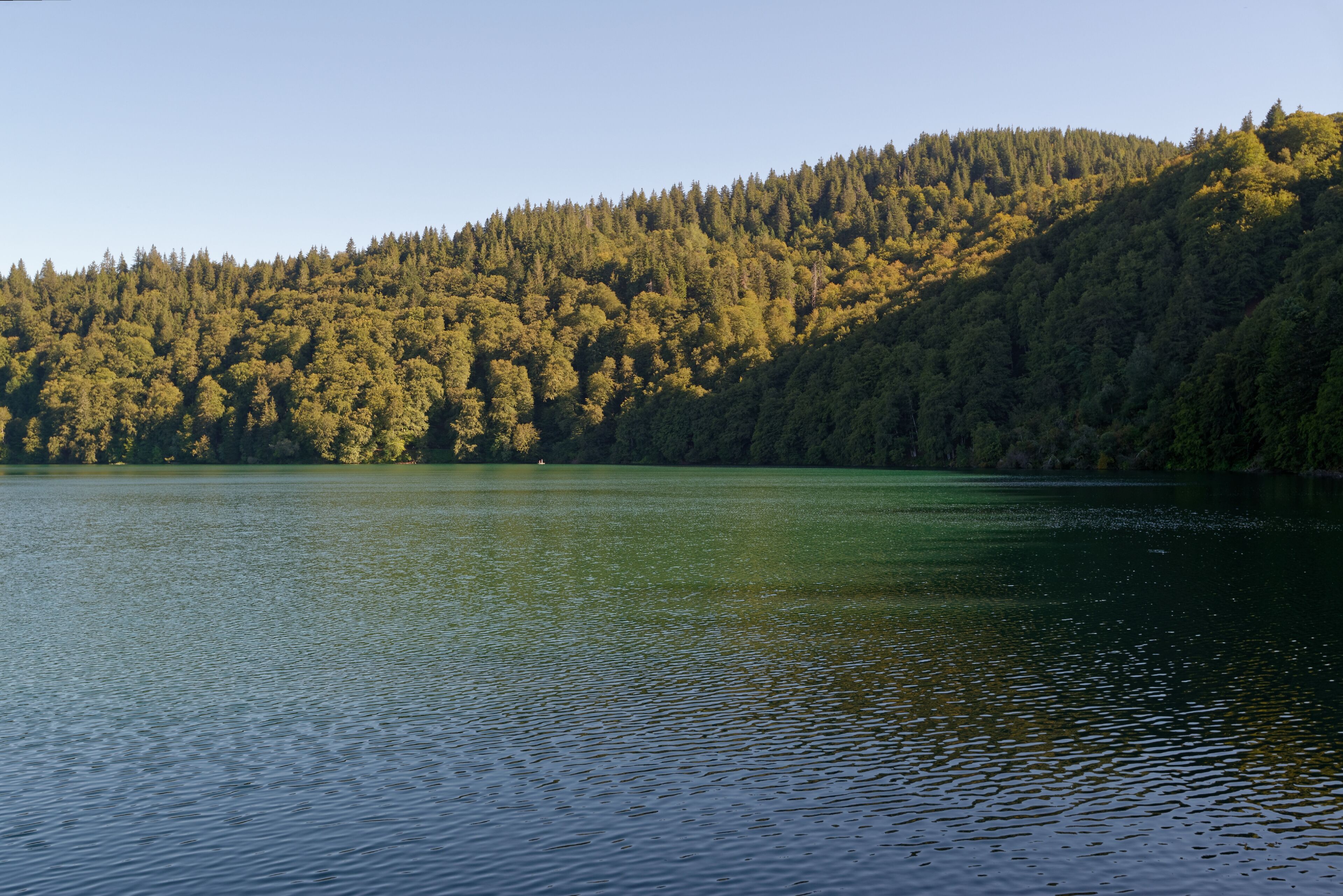 Différence de couleur des eaux selon la lumière au lac Pavin, formé dans le cratère d'un ancien volcan des Monts Dore, dans le Massif Central.