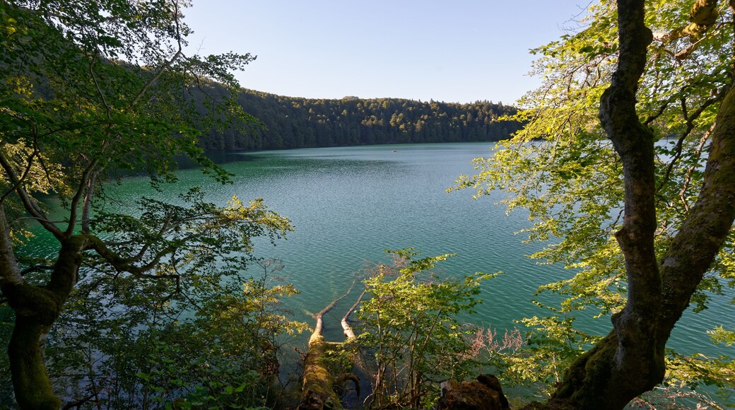 Le lac Pavin, formé dans le cratère d'un ancien volcan des Monts Dore, dans le Massif Central.