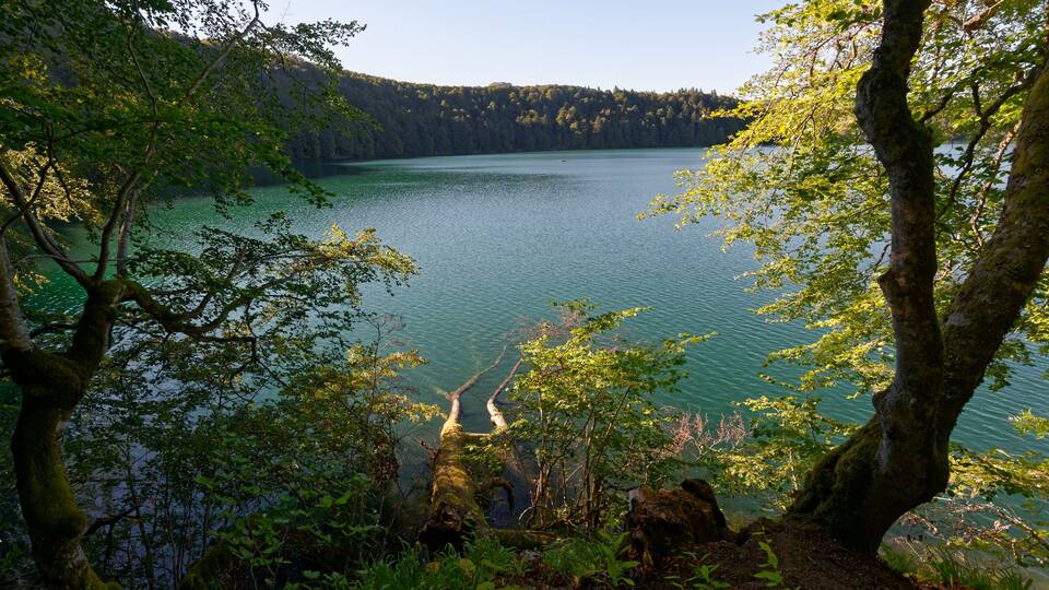 A lake surrounded by dense forest and rocky terrain.