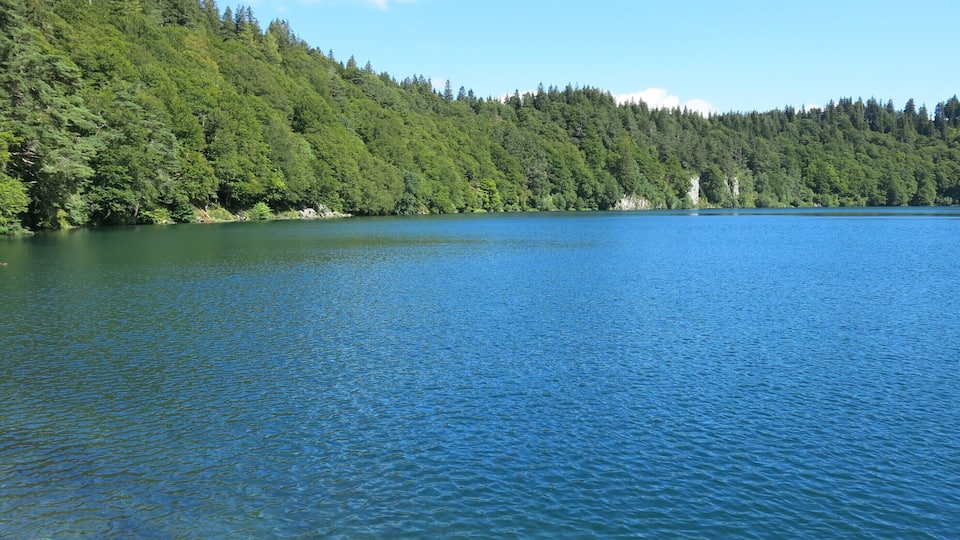A calm lake surrounded by dense forest and a clear blue sky.