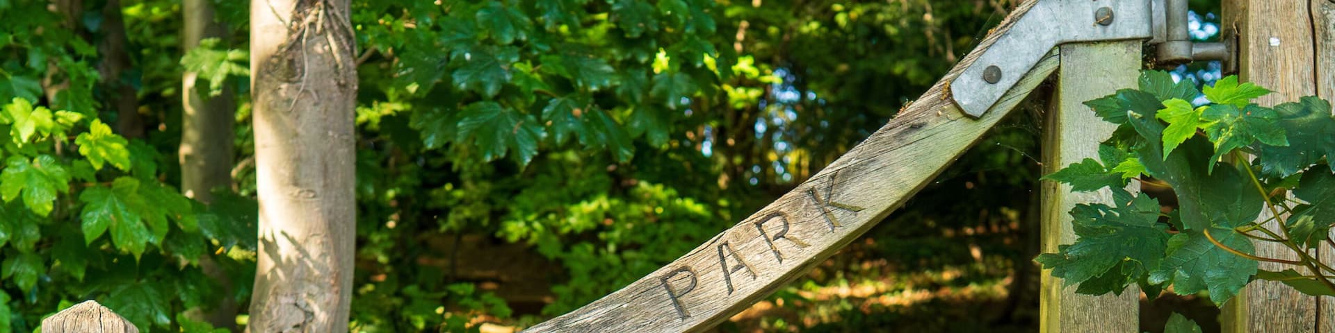 Rustic wooden gate entrance to Carlton Park with weathered fence leading to forest trail. Charming country park gateway with natural woodland path, green foliage and dappled sunlight background.