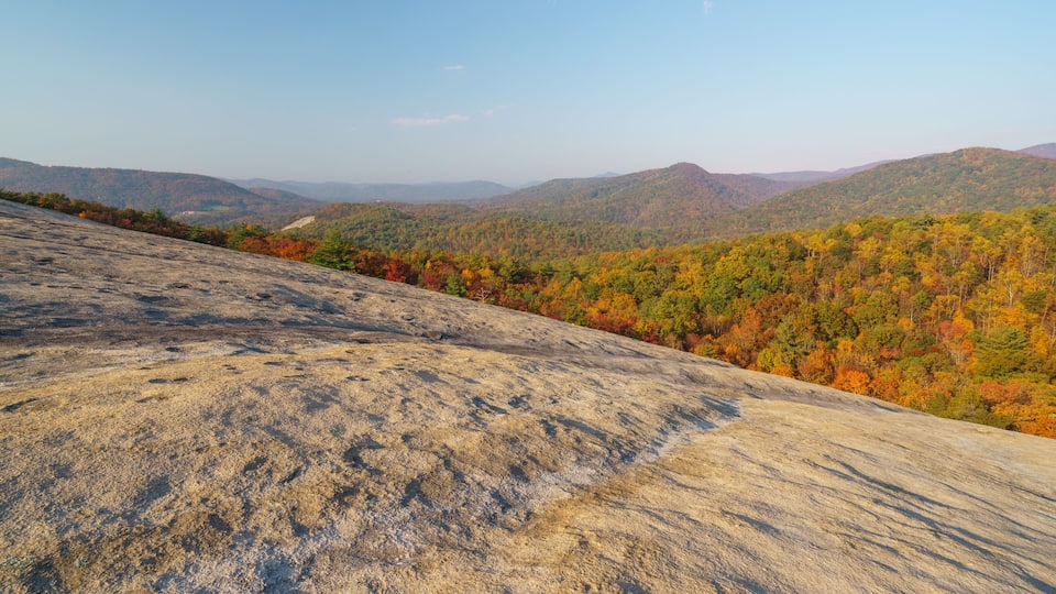 A rocky hillside with autumn foliage in the background.