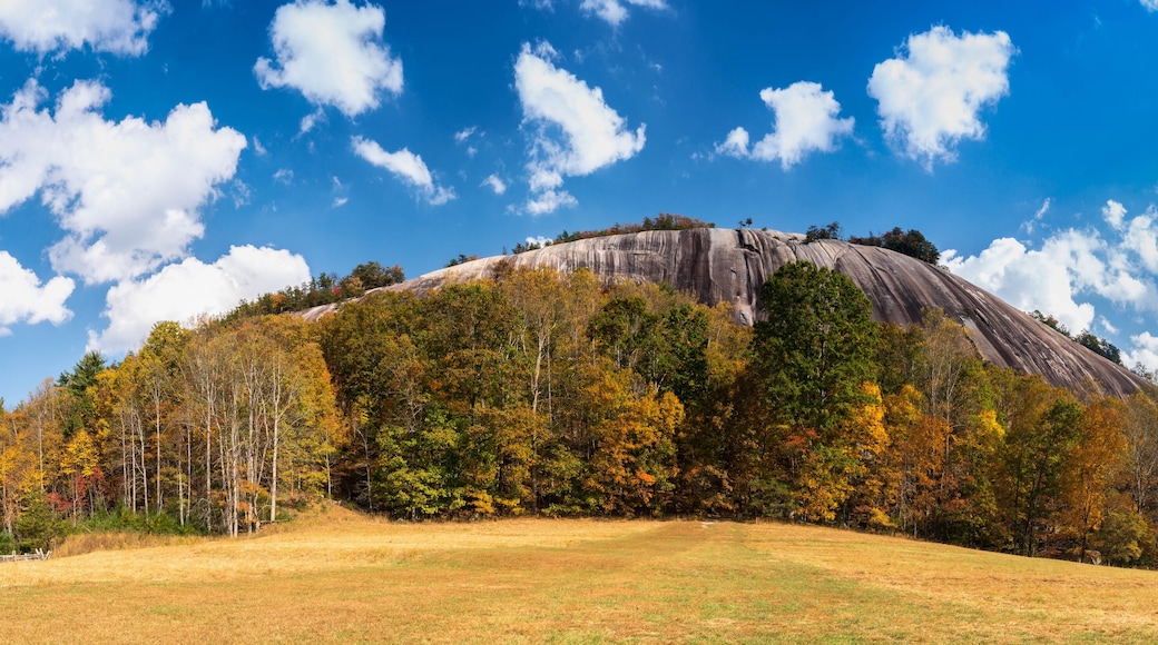 Fall at Stone Mountain
