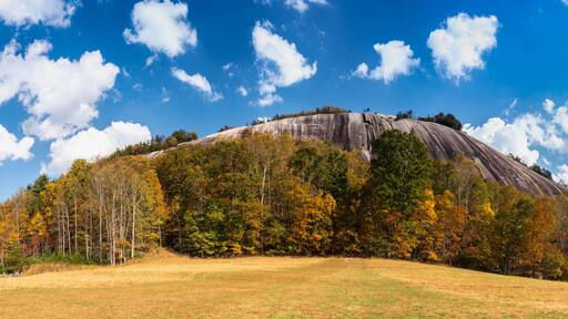 Fall at Stone Mountain