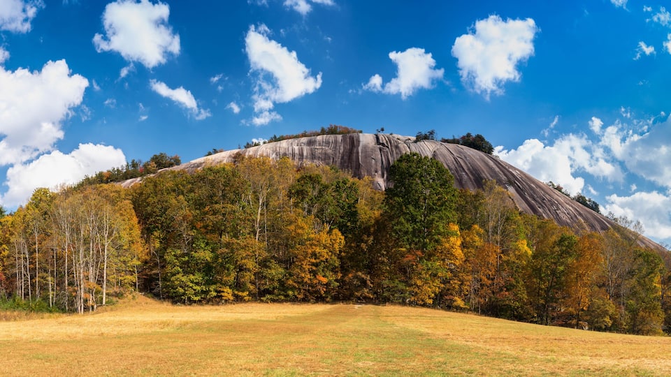 A large rock formation with autumn foliage and a clear blue sky.