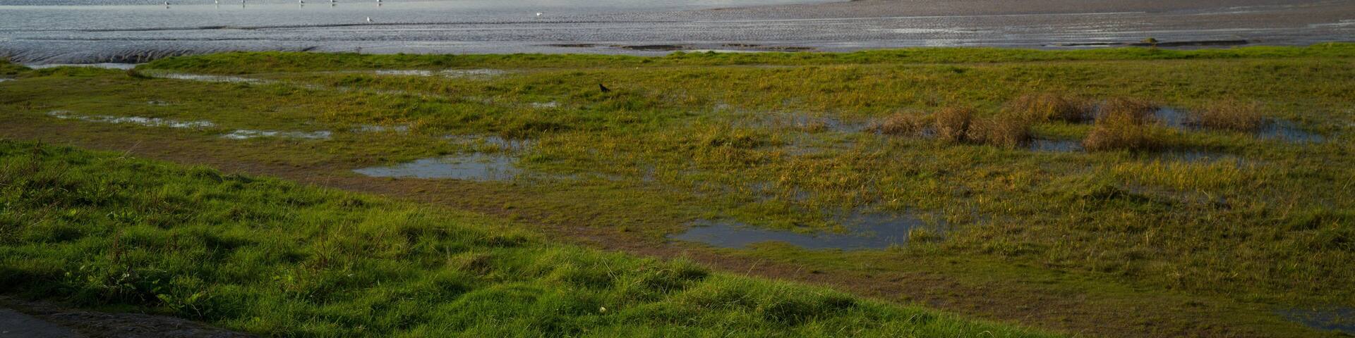 Arnside, United Kingdom, 19th October 2024, Arnside Railway Viaduct