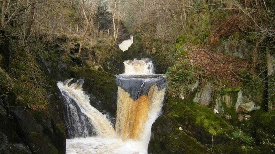 A waterfall cascading over rocks in a forested area.