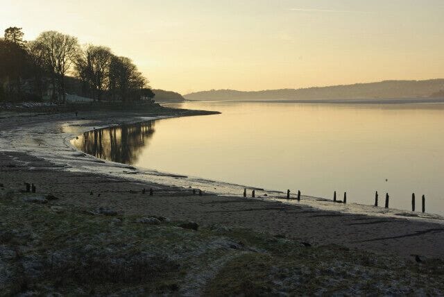 A calm lake with a sandy shore, trees in the background, and a wooden pier extending into the water.