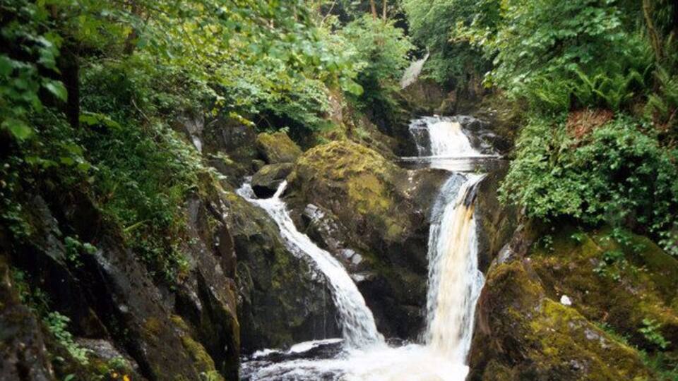 A waterfall surrounded by lush greenery.