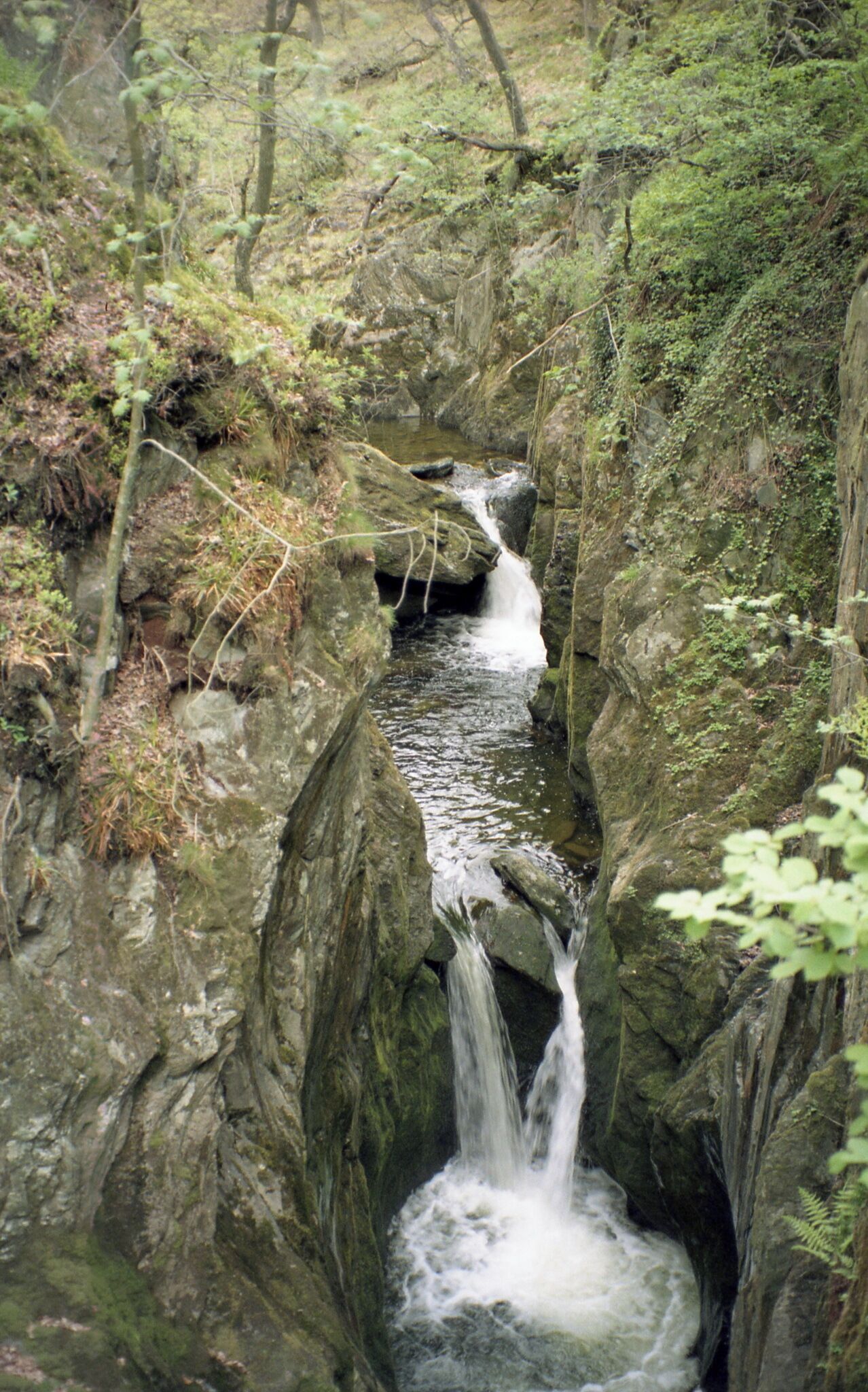 A small waterfall in a forested area with rocky terrain and moss-covered rocks.