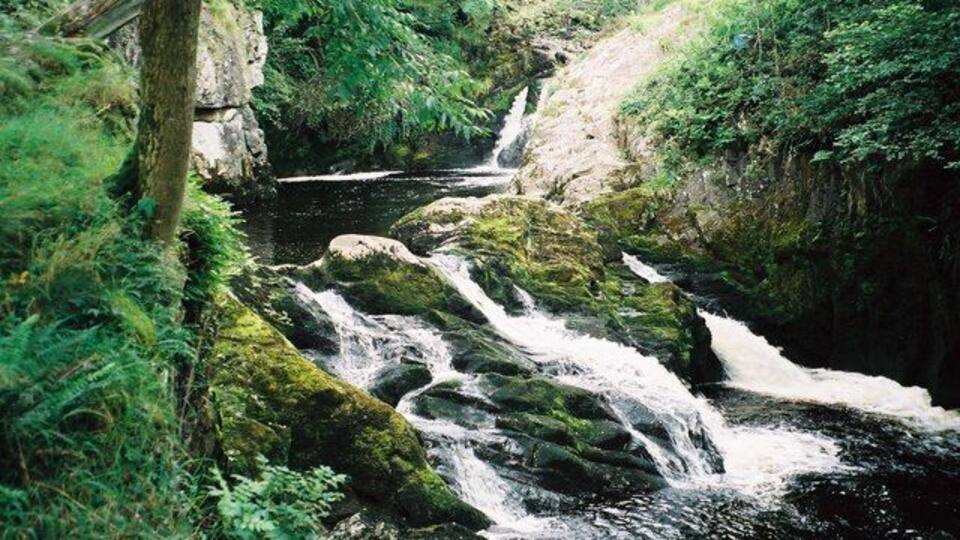 A cascading waterfall surrounded by lush greenery.