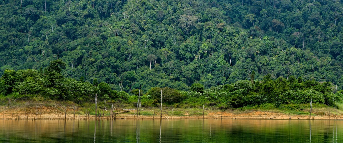 A forested hillside and a calm lake.