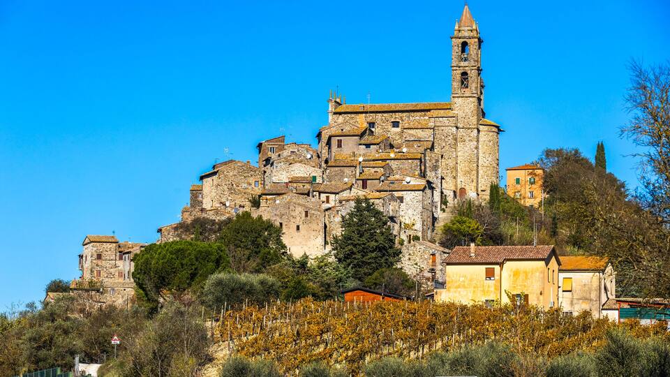 A historic stone building with a bell tower, surrounded by vineyards and trees.