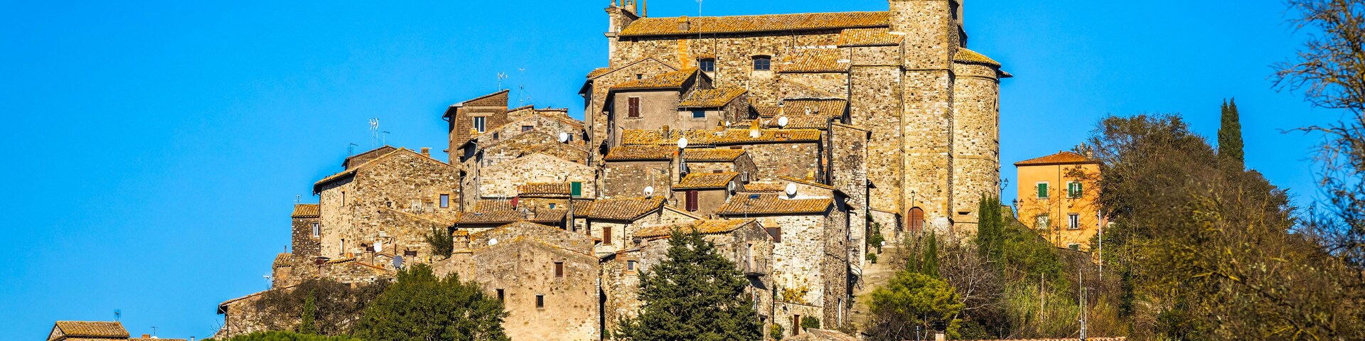 Un edificio histórico de piedra con un campanario, rodeado de viñedos y árboles.