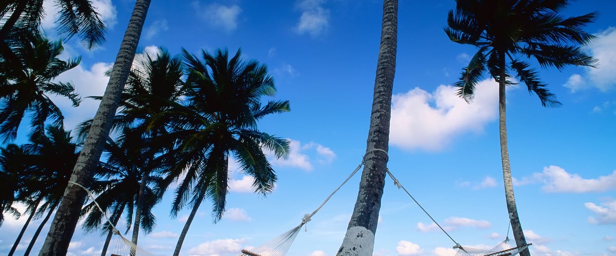Hammocks and Palm Trees, Emerald Palms Resort, South Andros, The Bahamas