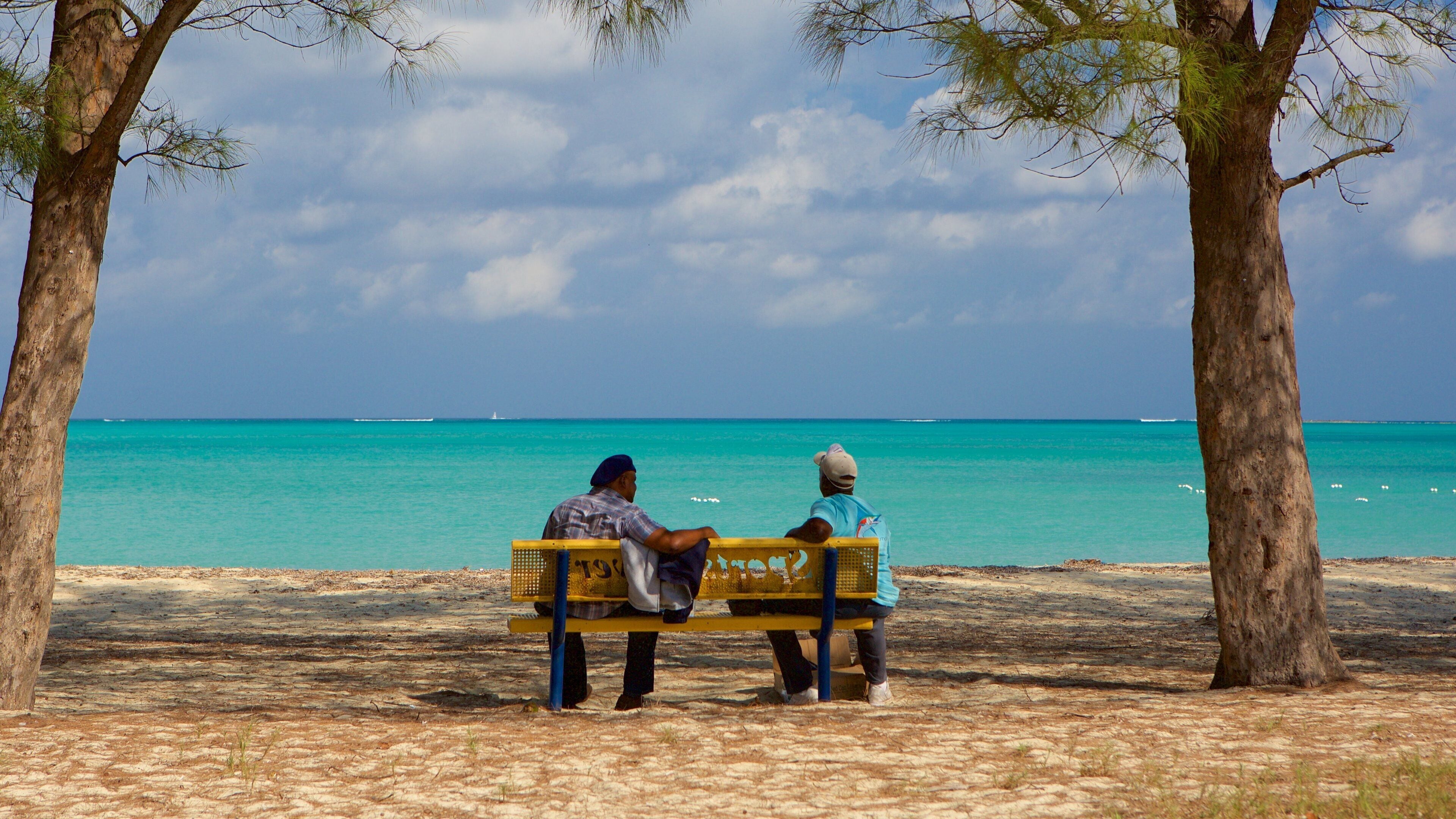 Cable Beach showing general coastal views as well as a small group of people