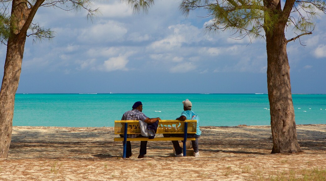 Cable Beach showing general coastal views as well as a small group of people