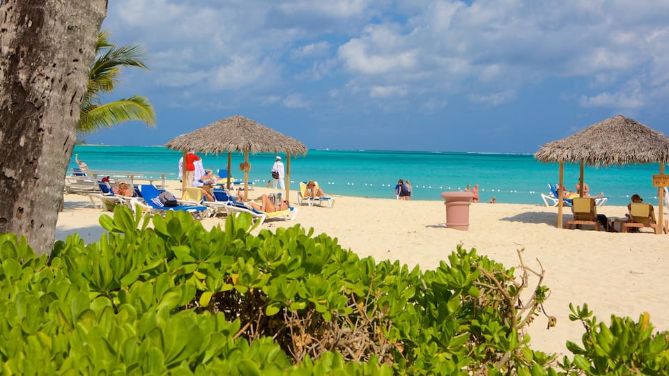 Cable Beach featuring a beach and tropical scenes