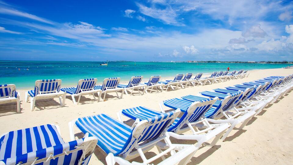 A beach with rows of blue and white striped lounge chairs and a clear blue sky.