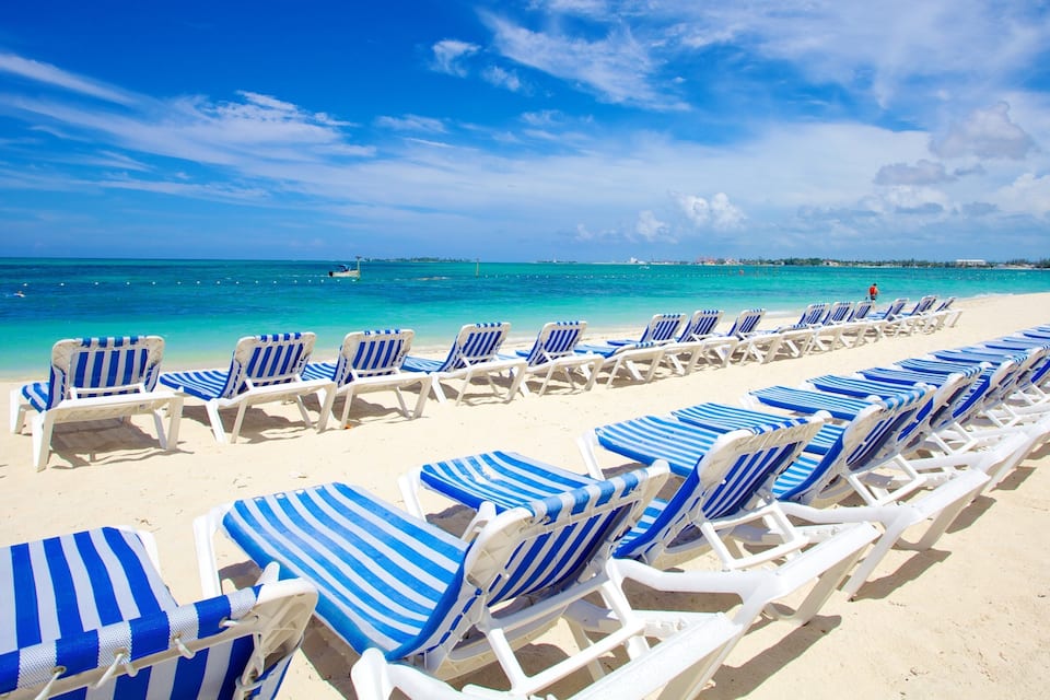 Uma praia com fileiras de cadeiras de praia azuis e brancas e um céu azul límpido.