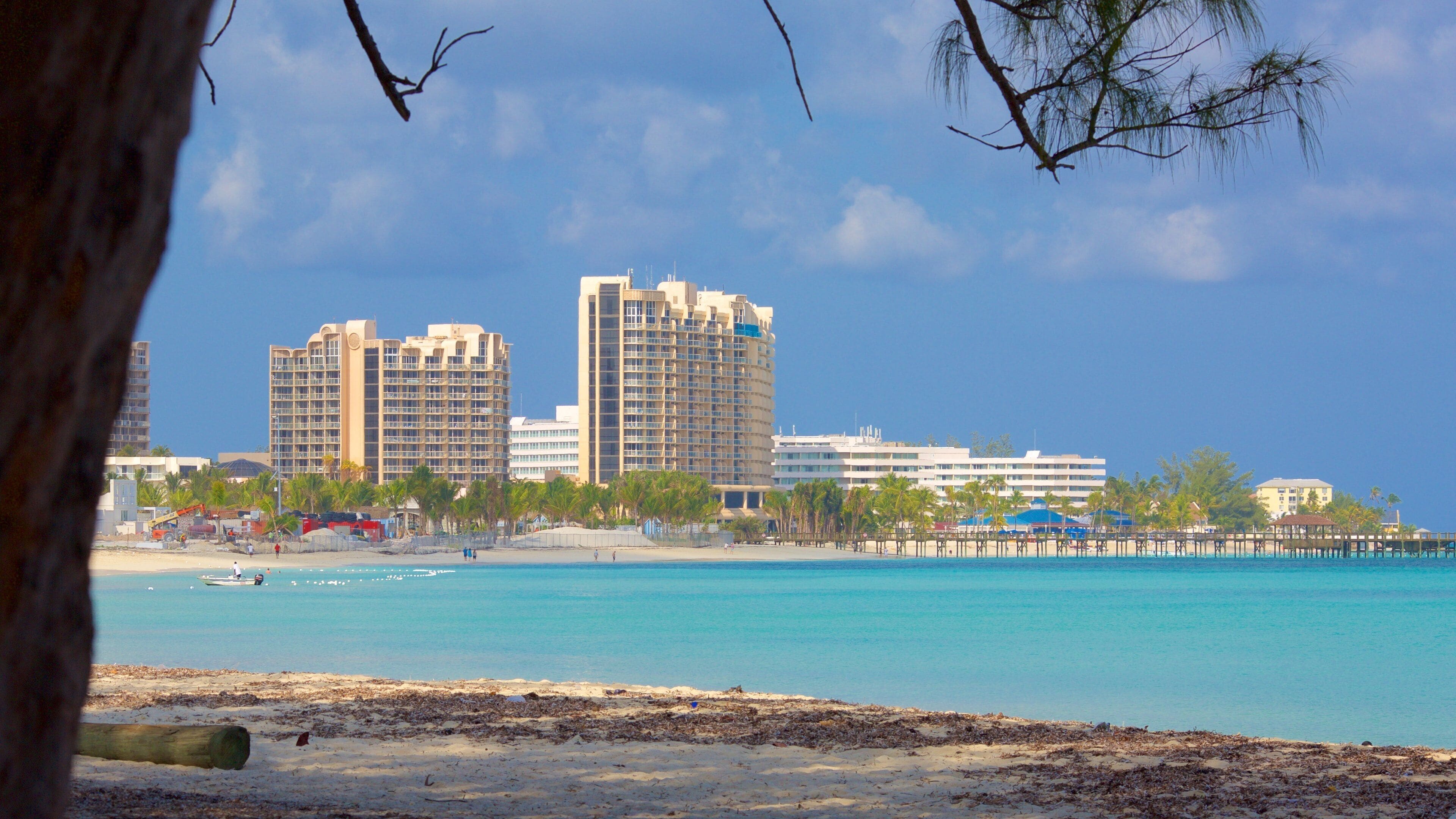 A beach with clear turquoise water, palm trees, and high-rise buildings in the background.