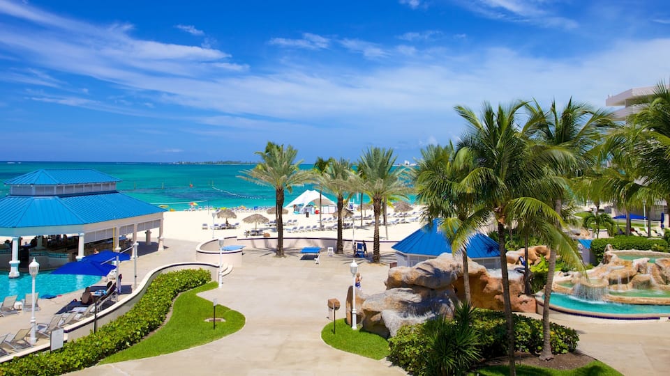 Een resort met een zwembad, palmbomen en een strand.