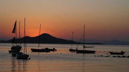 This is a photography of a Site of Community Importance in Spain with the ID: