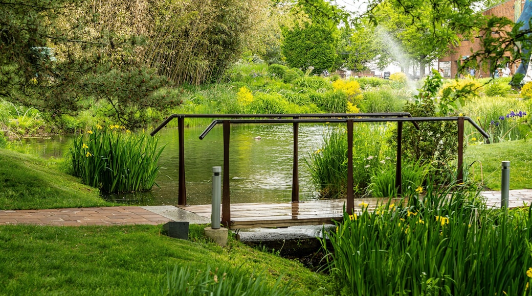 Hamilton, New Jersey, USA. Grounds For Sculpture, May 13, 2026.