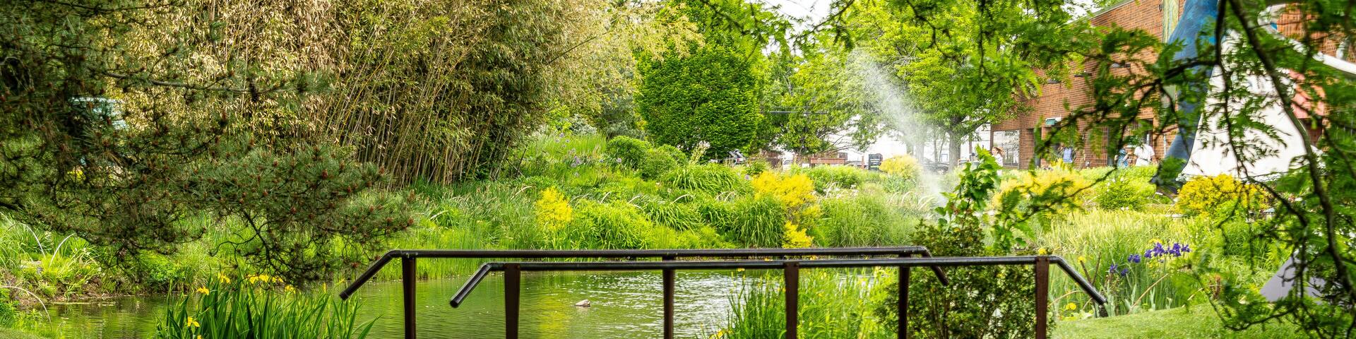 A tranquil garden with a wooden bridge over a pond, surrounded by lush greenery and flowering plants.