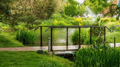 Um jardim tranquilo com uma ponte de madeira sobre um lago, rodeado por vegetação exuberante e plantas floridas.