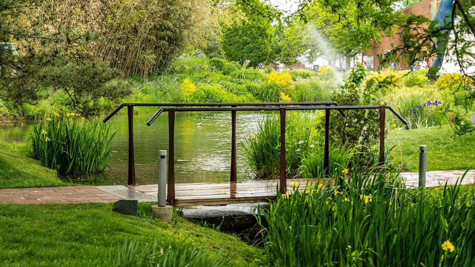 A tranquil garden with a wooden bridge over a pond, surrounded by lush greenery and flowering plants.