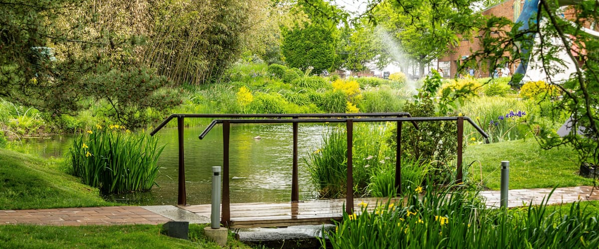 A tranquil garden with a wooden bridge over a pond, surrounded by lush greenery and flowering plants.