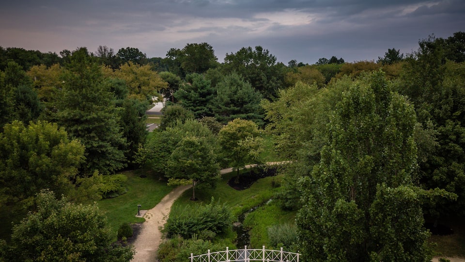 A park with a bridge, trees, and a path.