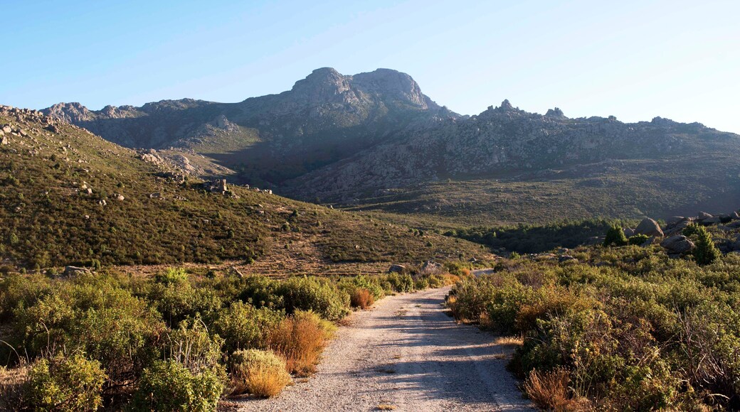 Forest road to La Maliciosa, from the Almorchones mountain. Becerril de la Sierra. Madrid's community. Spain. Europe