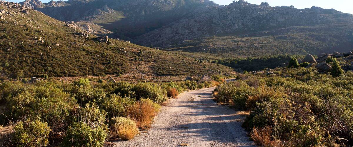 A gravel path leading through a mountainous landscape with rocky outcrops and sparse vegetation.