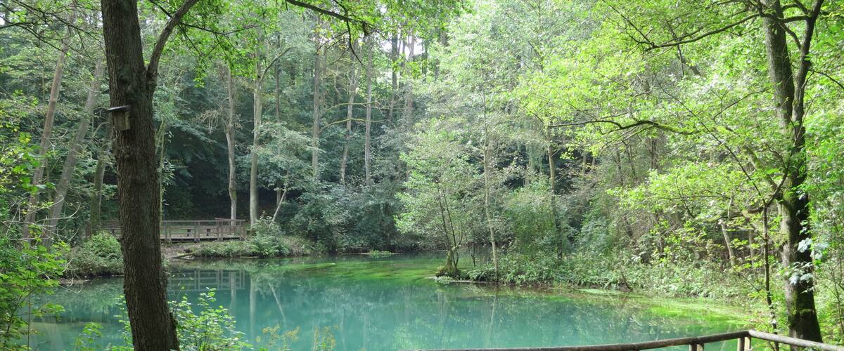 Rhumequelltopf in Pöhlde-Rhumasprung, Herzberg am Harz, Niedersachsen