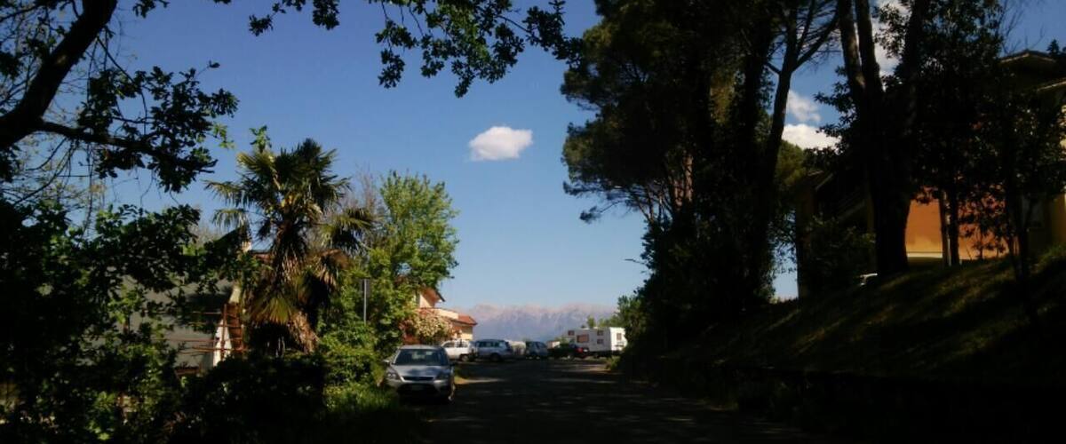 A narrow road flanked by trees and parked cars, leading towards a mountain range.