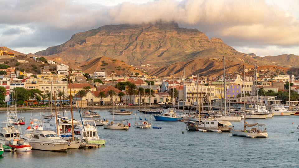 A harbor with numerous boats, a mountainous backdrop, and a coastal town with buildings.