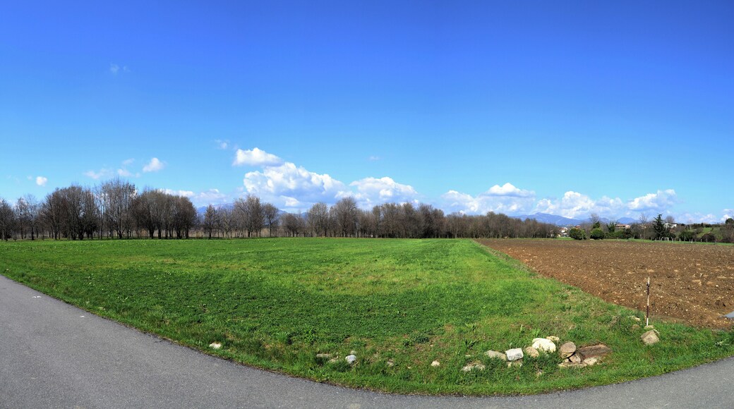 Parco Callioni da sud