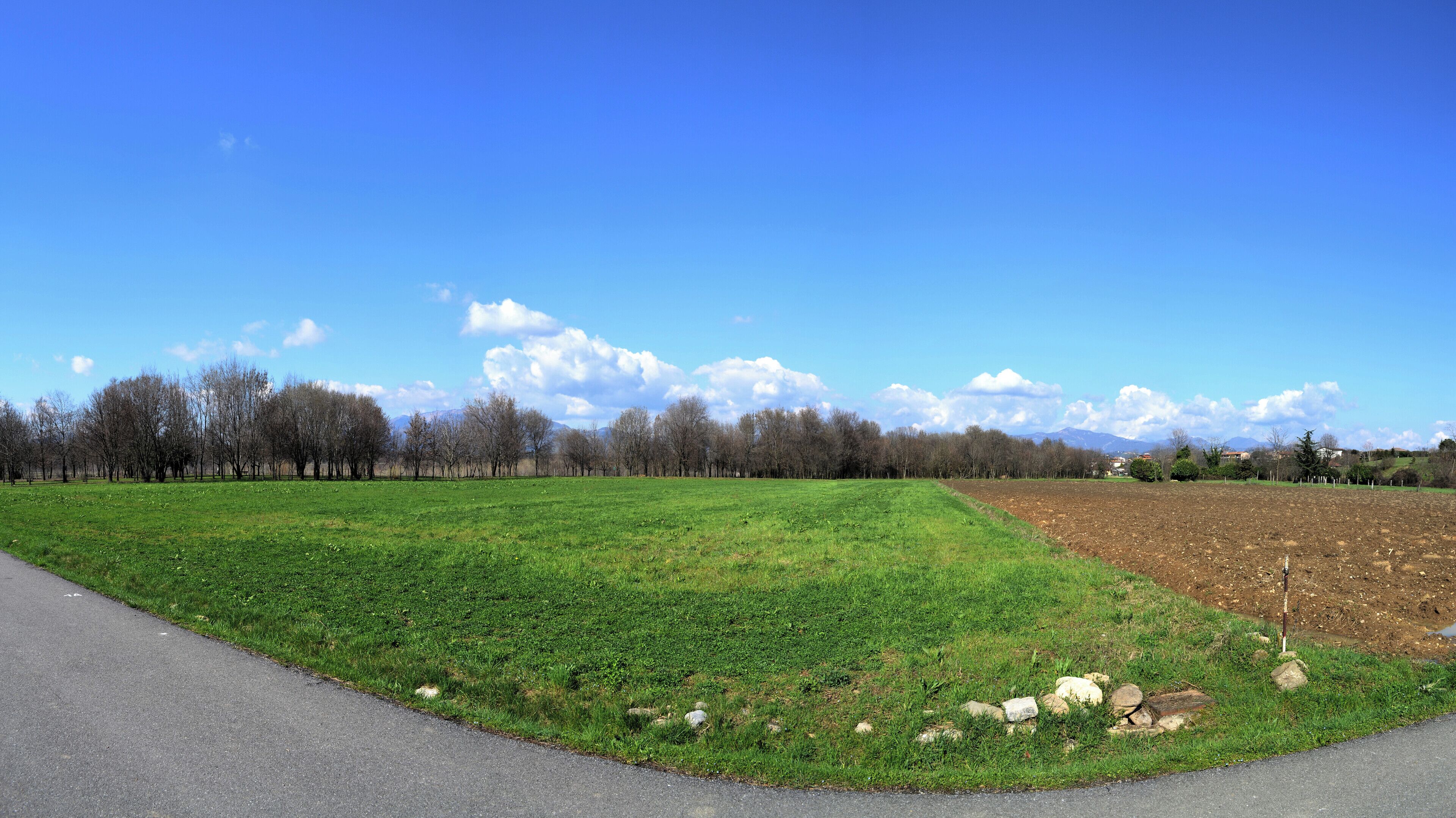 A green field with a dirt path, trees, and mountains in the background.