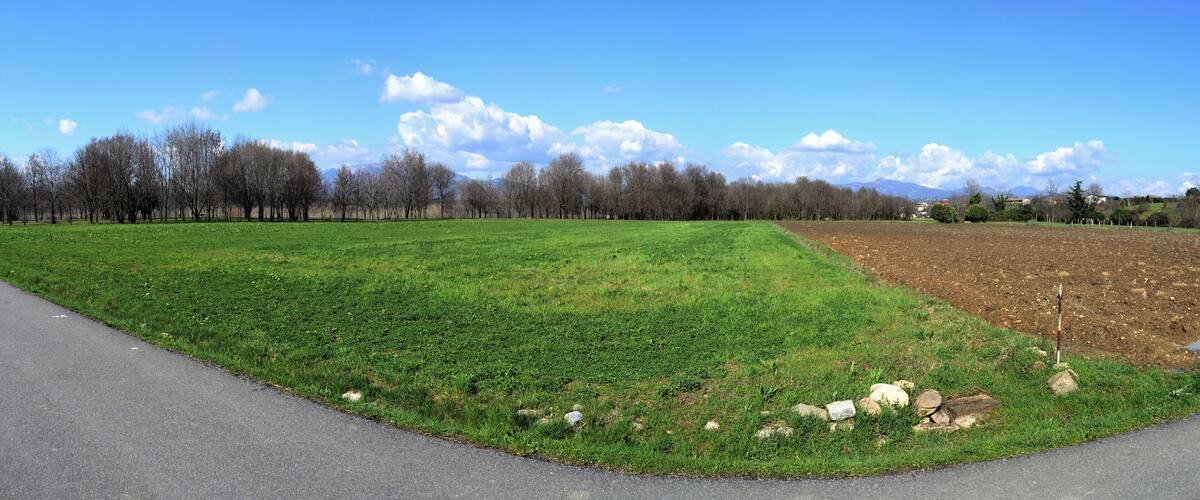 A green field with a dirt path, trees, and mountains in the background.